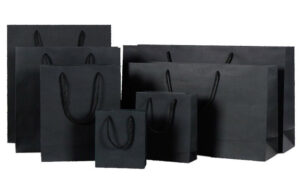 Túi giấy mua sắm