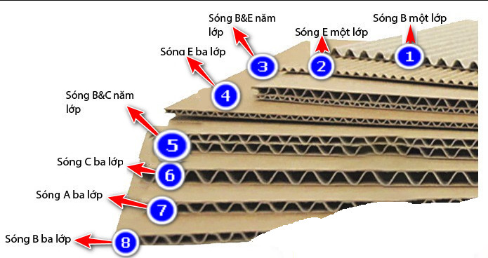 Các loại sóng giấy