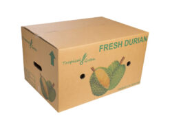 Thùng carton đựng sầu riêng GM CORP