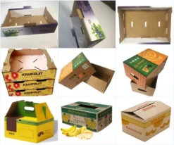 Thùng carton đựng trái cây GM CORP