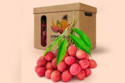 Thùng carton đựng vải thiều GM CORP